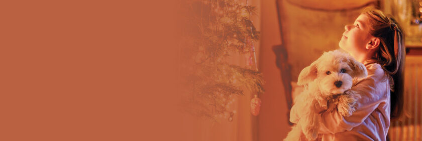 Holiday Helper banner