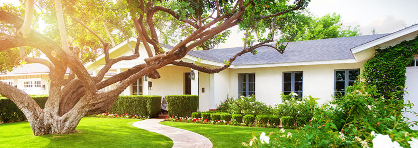 House with sunny lush green yard