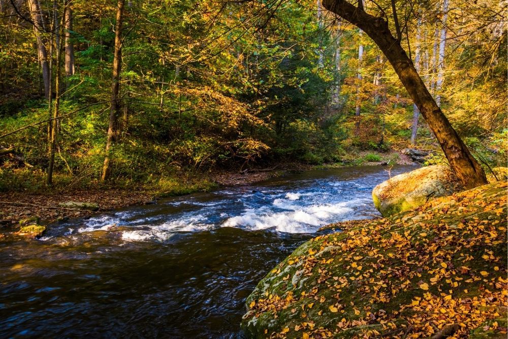 Gunpowder Falls State Park outside of Baltimore, MD is home to some of the best day hikes in the state